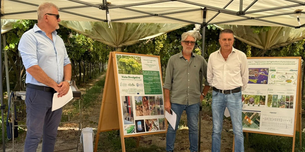 Uva da tavola 2025: conclusi i test su sostenibilità e conservazione